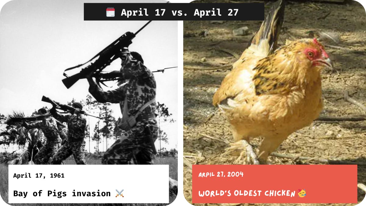 Bay of Pigs vs. the World’s Oldest Chicken